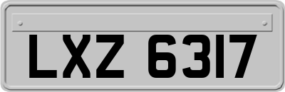 LXZ6317