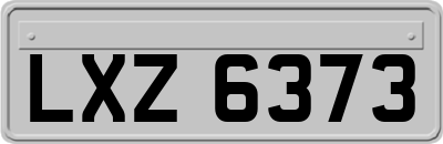 LXZ6373