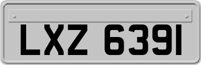 LXZ6391