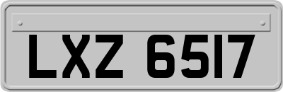 LXZ6517
