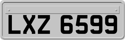 LXZ6599
