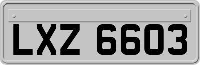 LXZ6603