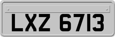 LXZ6713
