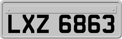 LXZ6863
