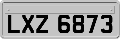 LXZ6873