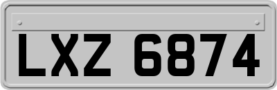 LXZ6874