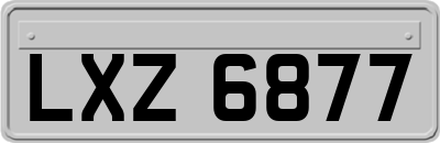 LXZ6877