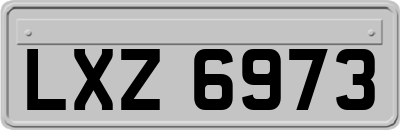 LXZ6973