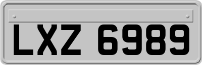 LXZ6989