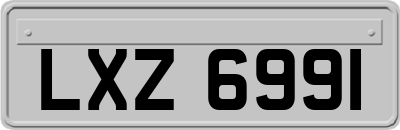 LXZ6991