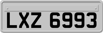 LXZ6993