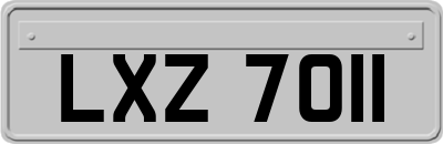 LXZ7011
