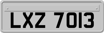 LXZ7013