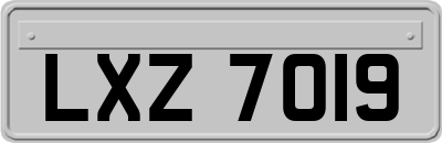 LXZ7019