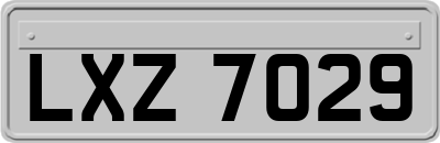 LXZ7029