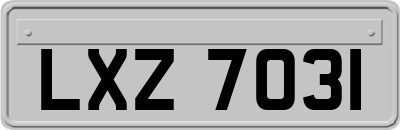 LXZ7031