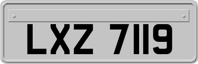 LXZ7119