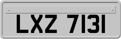 LXZ7131