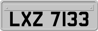 LXZ7133