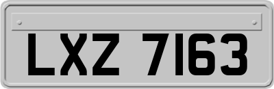 LXZ7163