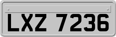 LXZ7236