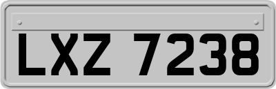 LXZ7238