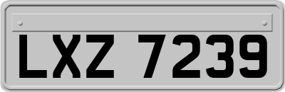 LXZ7239