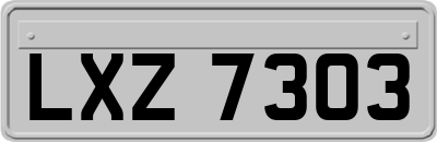 LXZ7303