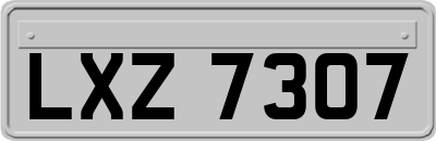 LXZ7307