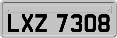 LXZ7308