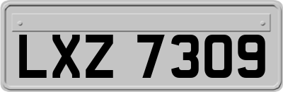 LXZ7309