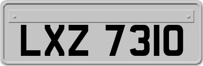 LXZ7310
