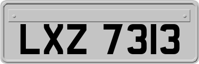 LXZ7313