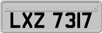LXZ7317
