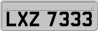 LXZ7333