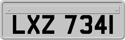 LXZ7341
