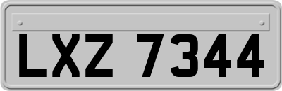 LXZ7344