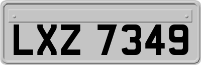 LXZ7349