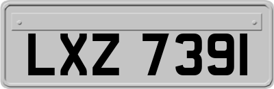 LXZ7391