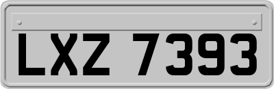 LXZ7393