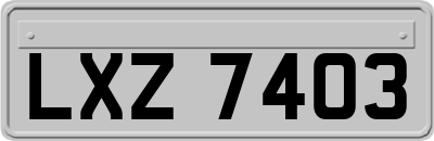 LXZ7403