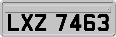LXZ7463