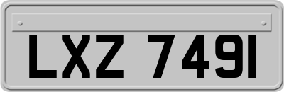 LXZ7491