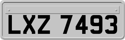 LXZ7493
