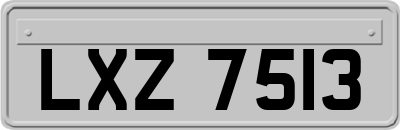 LXZ7513