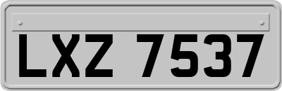 LXZ7537