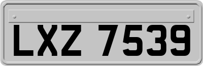 LXZ7539