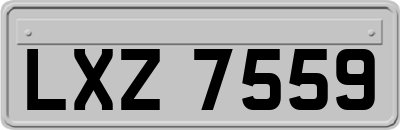 LXZ7559