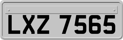 LXZ7565
