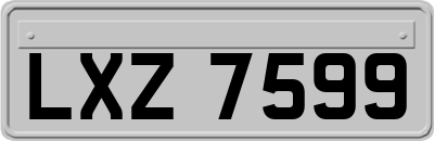 LXZ7599